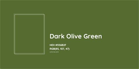 Dark Olive Green Complementary Or Opposite Color Name And Code 556b2f