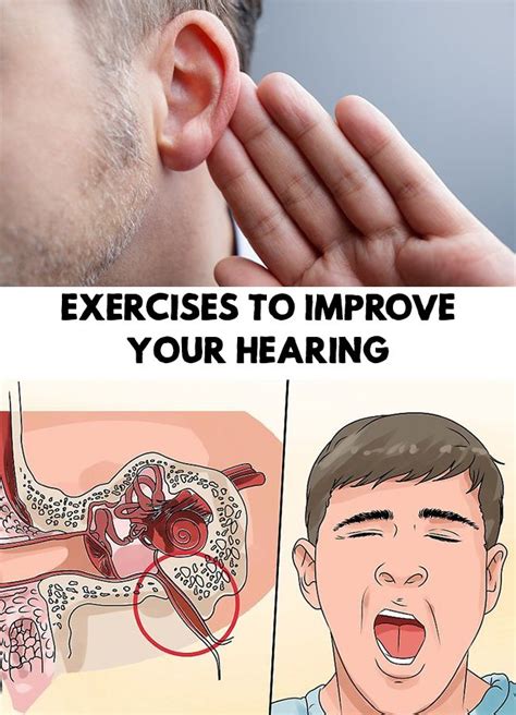 Exercises To Improve Your Hearing Hearing Health Hearing Problems