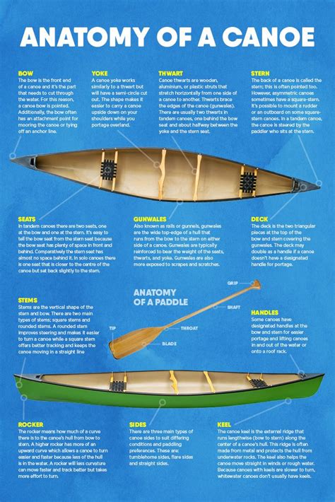 The Parts Of A Canoe Explained In 2021 Canoe Canoe Camping Canoe