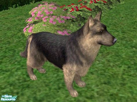 The Sims Resource Long Hair German Shepherd Blacktan