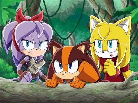 Sonic X Anime Characters Img Cahoots