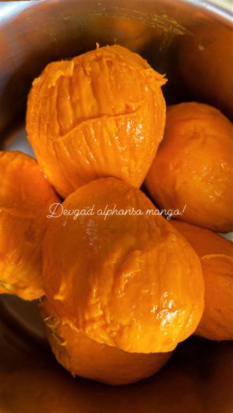 Devgad Alphonso Mango Mango Es Mangoes Food