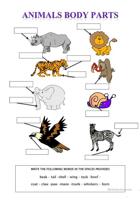 Help your preschooler learn the parts of the body with a body parts worksheet. English Worksheets, Activities And Games: Body Parts ...