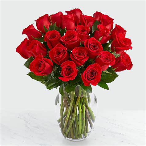 Cornell scarlet pomegranate red strong long stems growing sumber : 20 Long Stem Red Roses I Send Velentine Day Roses to ...