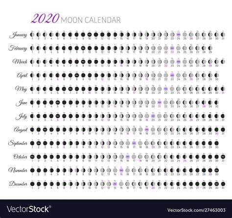 Moon Illumination And Moon Age At 2020 Year Vector Image On Vectorstock