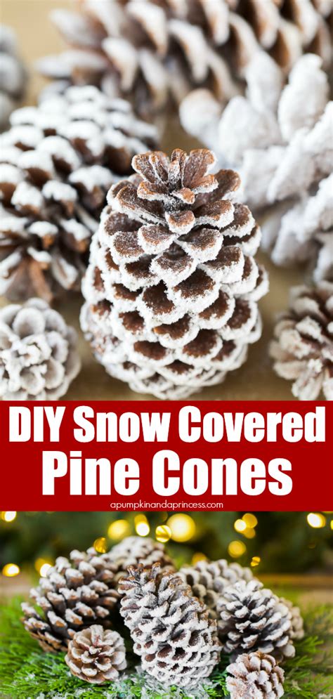 Diy Snow Covered Pine Cones Video A Pumpkin And A Princess