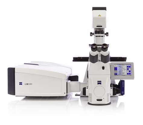 Zeiss Lsm 880 W Fast Airyscan — Bacterial Imaging Cluster