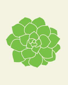 Download Image result for succulent vector | Succulents drawing ...