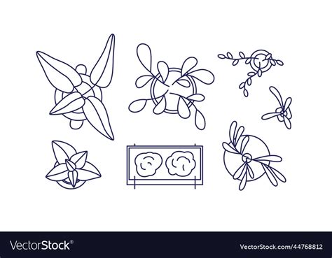 Potted Plants Top View Overhead Houseplants Vector Image