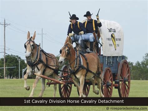 1st Cavalry Division Horse Cavalry Detachment Fort Hood Texas Rose