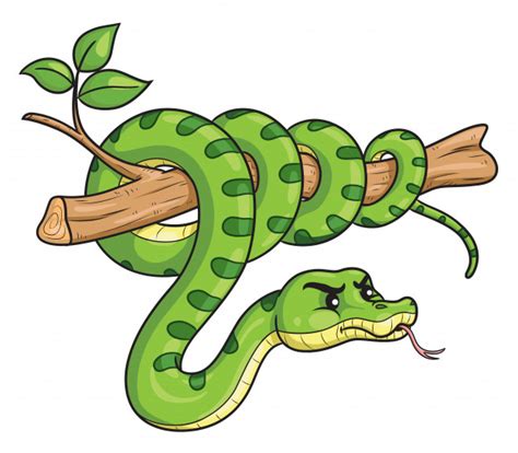 Download snake cartoon stock vectors. Premium Vector | Snake cartoon on branch