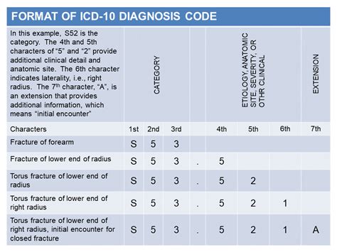 Infographic Format Of Icd 10 Diagnosis Code
