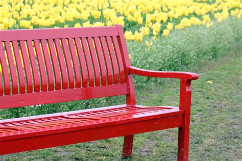 Red Bench Red Bench Outdoor Decor Outdoor Spaces