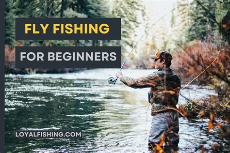 Fly Fishing For Beginners A Step By Step Guide 2023