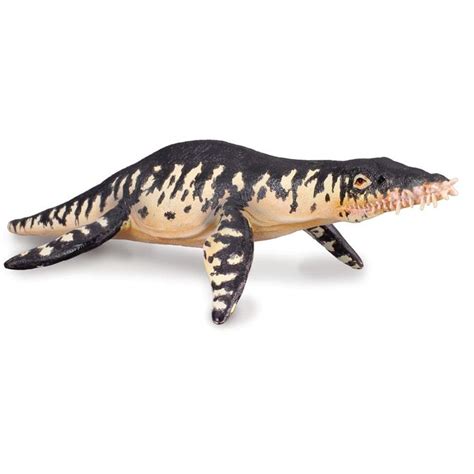 Geologists have found earths weirdest and some of the biggest animals that use to roam on this very place where we live today, millions these brains only had the information regarding their average and usual life, stored. Liopleurodon Marine Reptile Model (Predator X) | Animals ...