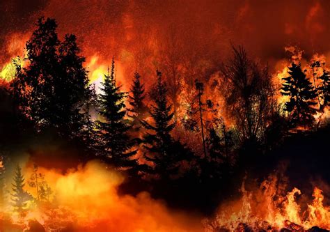 Gigantescos Incendios En Estados Unidos Generan Caos Y Muchas Pérdidas