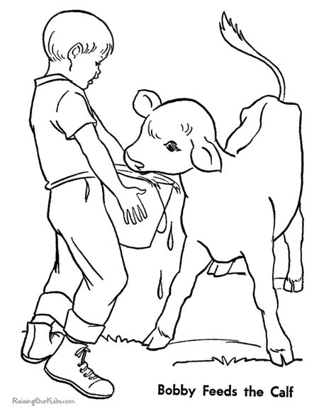 Calf Coloring Page