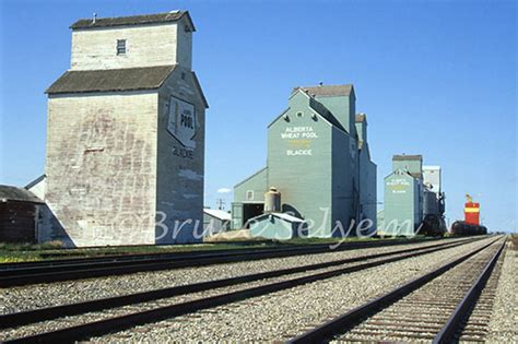 Blackie is a hamlet in alberta, canada within the municipal district of foothills no. bruce selyem grain elevator photos
