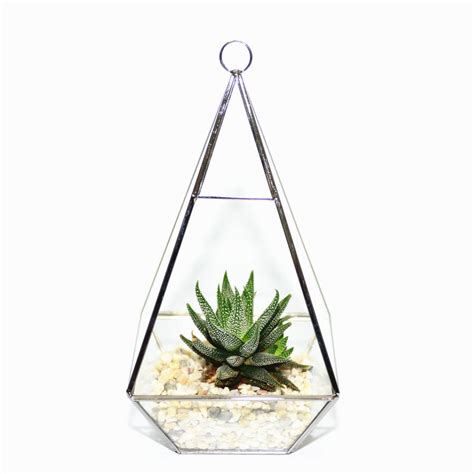 Diamond Shaped Glass Vase Succulent Terrarium By Dinga Ding Terrariums