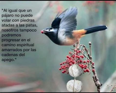Sustantivo de género exclusivamente masculino, que lleva los artículos el o un en singular, y los o unos en plural. "Al igual que un pájaro no puede volar con piedras atadas ...