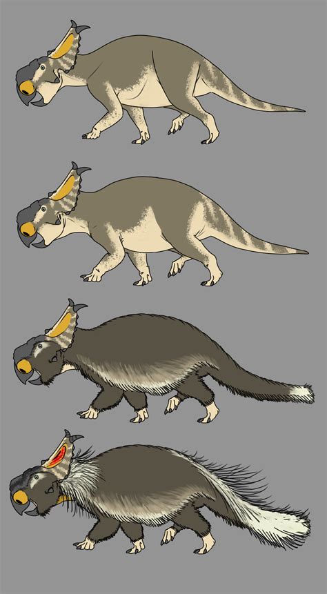 Pictures and illustrations of the pachyrhinosaurus dinosaur. Four Pachyrhinosaurus by StygimolochSpinifer on DeviantArt