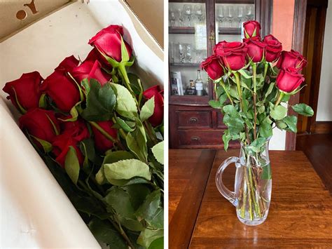Maybe you would like to learn more about one of these? Lorene J. Franklin: Avas Flowers Surprise Az / Interior ...