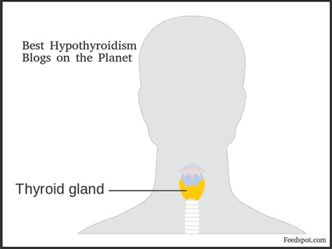 15 Best Hypothyroidism Blogs And Websites To Follow In 2024