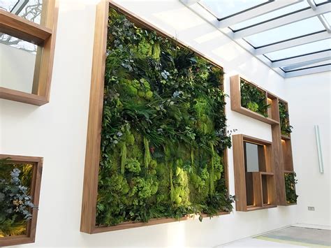 Biophilic Preserved Plant Wall Design