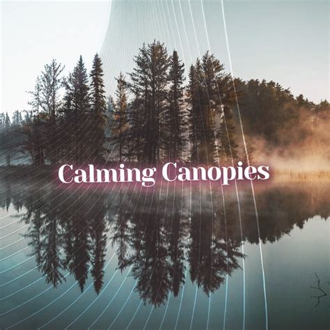 Calming Canopies Album By Pro Sound Effects Library Spotify