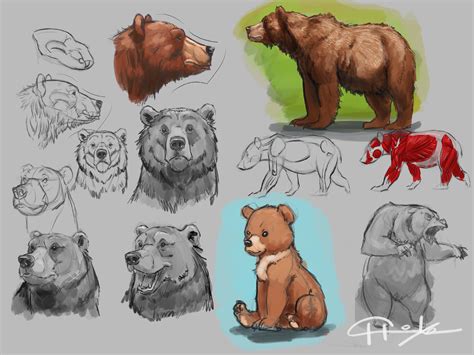 Spent 6 Hours Today On Aaron Blaises Course On Drawing Bears Only Made