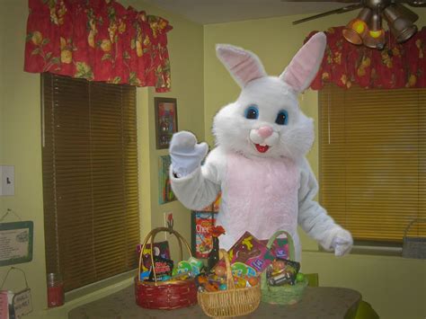 Gallery For The Real Easter Bunny