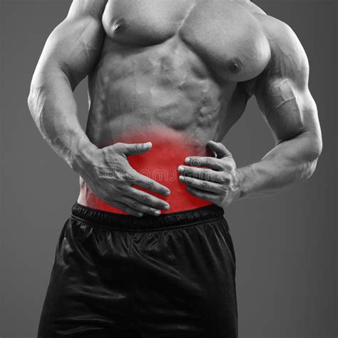 Abdominal Pain Male Anatomy Left Side Pain Isolated On White Stock Photo Image Of Muscular
