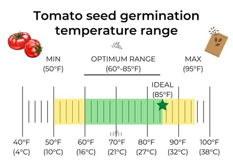 Soil Temperature Germination Chart