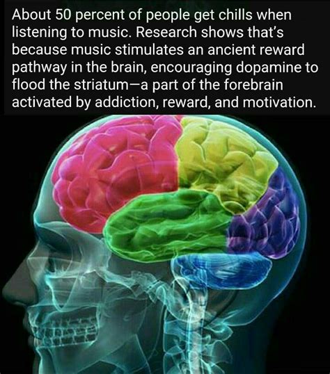 Music Really Does Stimulate Fun Facts Wtf Fun Facts Facts