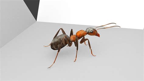 3d model ant 3d model animated and rigged vr ar low poly rigged cgtrader