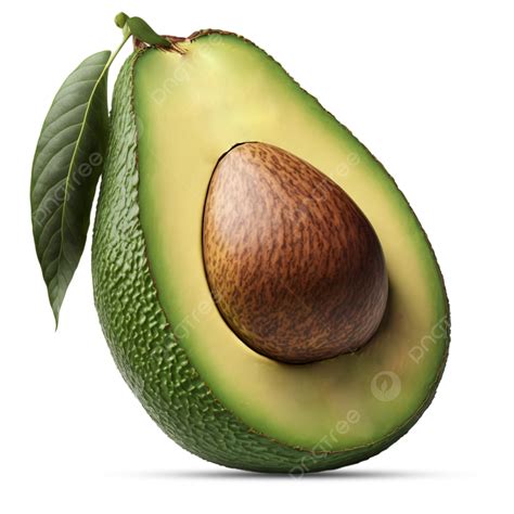 Avocados Png Transparent Images Free Download Vector Files Pngtree