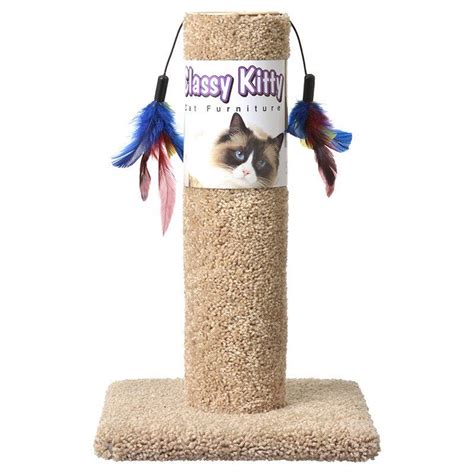 North American Pet Products Classy Kitty Cat Scratching