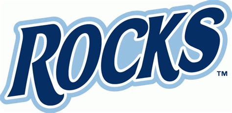 The Rock Logo The Rock Dwayne Johnson Logo Apron Customon In This
