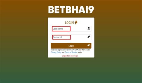 Betbhai9 India Review Pro Betting Guides
