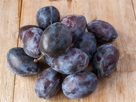 22 Types Of Plums Different Varieties Insanely Good