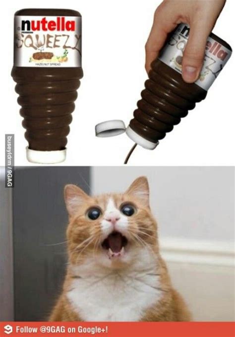 Not Only Is The Cat Adorable But Squeeze Nutella