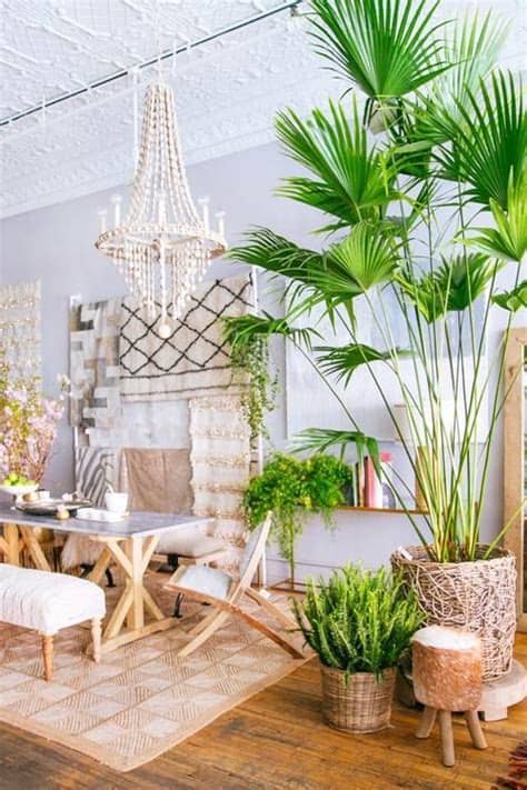 Tell us your favorite in the comments below! Mix in tropical style | Tropical home decor, Tropical ...