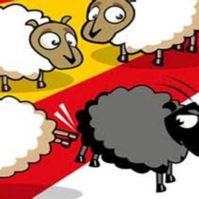 / significado de xenofobia | sinónimos y oraciones con ejemplos de uso de xenofobia. Xenofobia: ¿existe el amor al prójimo?