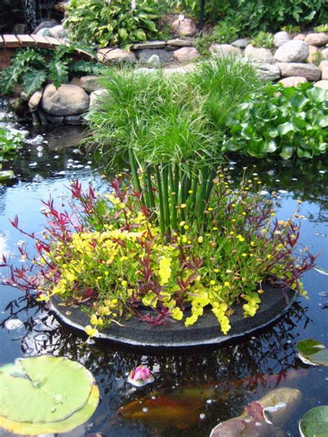 Custom Pond Planter Baskets Hydrosphere Water Gardens