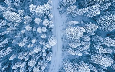 Aerial View Snow Covered Forest Wallpapers Wallpaper Cave