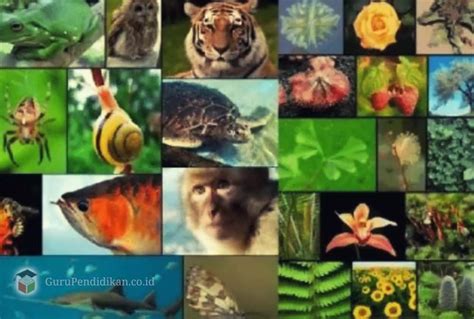 Manfaat Keanekaragaman Hayati Flora Dan Fauna Terbaru