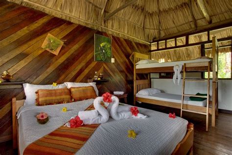 Belize Accommodations Gallery Caves Branch Jungle Lodge Luxury Tree