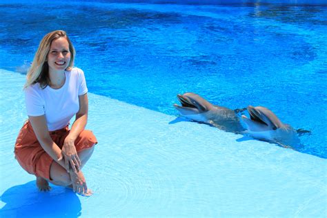 Aprovecha El Clima Mediterráneo Para Un Encuentro Con Delfines