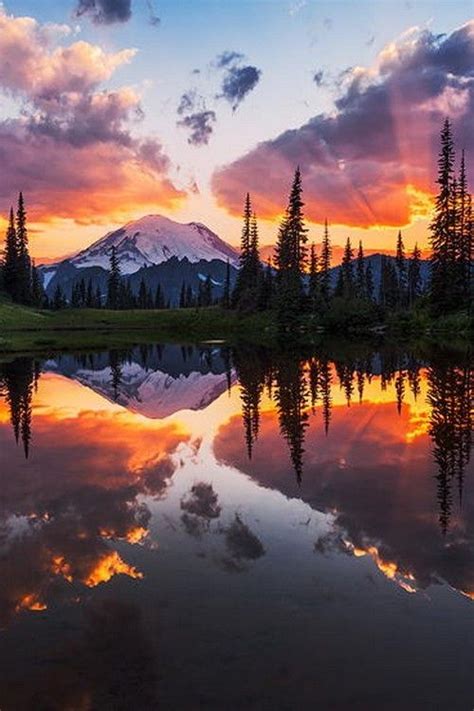 Mount Rainier Reflected In Tipsoo Lake At Sunset Washington By Alan