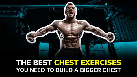 Best Chest Exercises You Need To Build A Bigger Chest Squatwolf